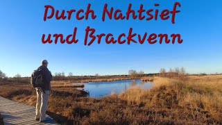 Durch Nahtsief und Brackvenn - Wunderschöne Herbstwanderung im Hohen Venn #wandern #outdoor #nature