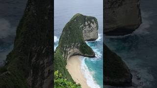 Kelingking Beach | Nusa Penida | Bali #youtubeshorts #nusapenida #bali #kelingking