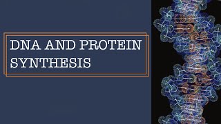 DNA AND PROTEIN SYNTHESIS [GCSE BIOLOGY]