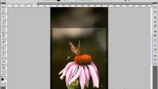 Pixelstarter Photoshop Videotraining Teil 16. Bilder beschneiden