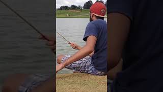 Muita tilápia na varinha de mão #shorts #pesca #pescaria #fishing #pescabrasil