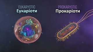 Інтелект України, біологія, частина 1, урок 6 (3 завд.)