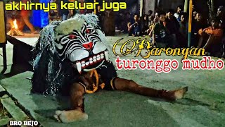 BARONGAN TURONGGO MUDHO