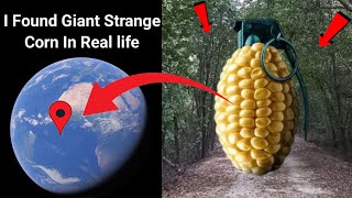 😱I Found Giant Strange is Corn In Real life!?🤯On GoogleEarth and Googlemaps🌍@Universal-s2z#video