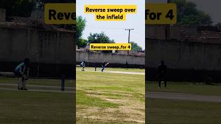 Reverse Sweep for 4. #cricket #cricketlover #cricketshorts #shorts #shortsvideo #battingmasterclass