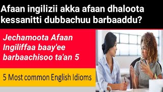 Jechamoota Afaan english  5 Common English Idioms in Afan Oromo #|kello media| #redy_adem_tube