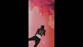 Travis Scott - Backyard (Distant Lover Intro)