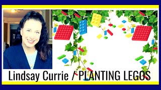 MG Horror Author Lindsay Currie | Writing is Like Planting Legos