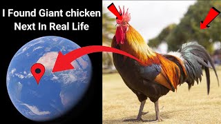 😱I Found Giant Chicken next In Real life!?🤯On GoogleEarth and Googlemaps🌍‎@Universal-s2z #viralvideo