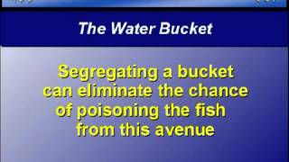 Aquarium Set-Up Tip - 10 - The Water Bucket