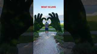 WHAT IS LOVE