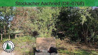 POTA-Aktivierung Naturschutzgebiet Bodenseeufer Bodman-Ludwigshafen (DE-0768)