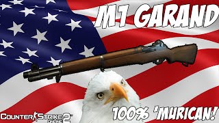 CSO2 - M1 Garand Rifle Review