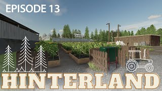 Small Expansions / Survival-Hard Economy / Hinterland / Episode 13 / Farming Simulator 22