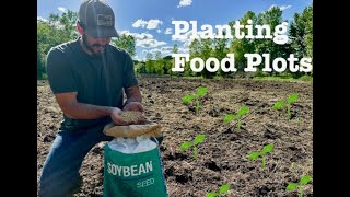 Food Plot: Planting | Episode 2