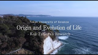 Origin and Evolution of Life: Koji Tamura's Research