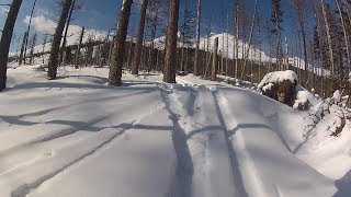 SkiBIke on Lomnica - FR lower parts 2018