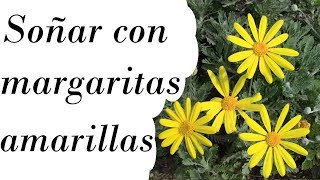 soñar con margaritas amarillas