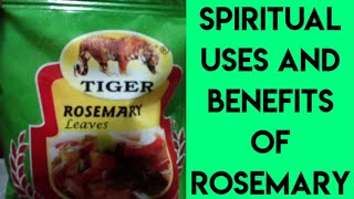 Spiritual And Magical Ways To Use Rosemary For Prosperity & Love