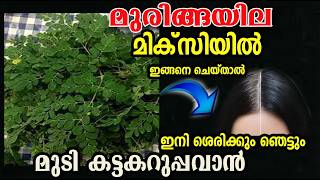 മുരിങ്ങ ഉണ്ടോ?? ഇങ്ങനെ ചെയ്താൽ /muringa hair care /poppy vlogs/malayalam