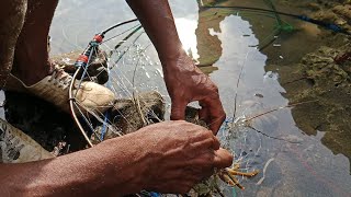 CARA PASANG PERANGKAP LOBSTER DENGAN ALAT MANUAL DAN MURAH