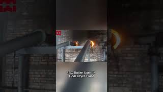 do you know how FBC Boiler used in Coal Dryer Plant?