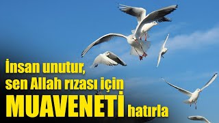 İnsan unutur, sen Allah rızası için MUAVENETİ hatırla