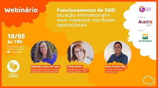 Webinário Funcionamento do SGD: atuação intersetorial e seus impactos nos fluxos operacionais