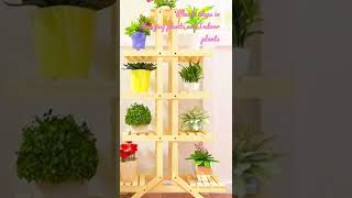 Plant ideas in Hanging Plants and Indoor Plants