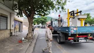 La Municipalidad realiza podas de despeje en semáforos y señaléticas