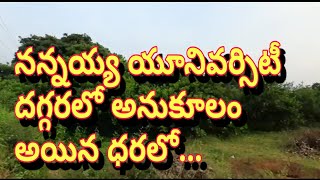 Real estate||land for sale||commercial land||Royal Real Estate TV|| cashew garden||lemon garden||