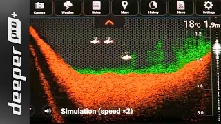 Deeper Pro Plus (4 Simulation Modes Demo)