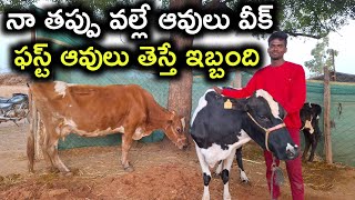 నా తప్పు వల్ల ఆవులు వీక్ Don't make this mistake@MalleshAdla