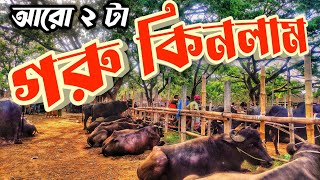 হযরতপুর হাট থেকে কেমন গরু কিনলাম || Purbasha Agro