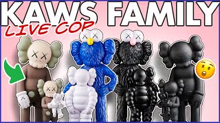 LIVE COP! KAWS Family at Kawsone.com