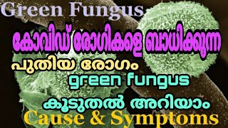 കോവിഡ് രോഗികളെ ബാധിക്കുന്ന മറ്റൊരു രോഗം കുടി... green fungus / green fungus malayalam