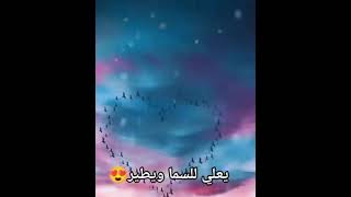 حالات واتس اب حب🥰🥰واحس قلبي بحبك طير وانا كل ماذكرتك يعلي للسما ويطير يلي انت معلق لا تنسى الاشتراك