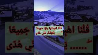 ٦ ديسمبر، ٢٠٢٤