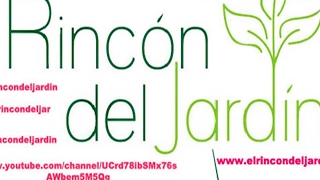 Emisión en directo de El rincón del jardín