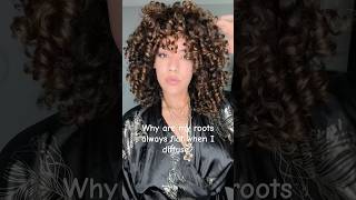 Avoid Flat Roots While Diffusing #curlyhair #howto #curls #stylist