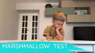 The Marshmallow Test