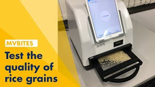 Fast and performant inspection of rice grains with HALCON Embedded