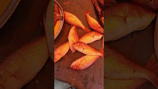 #video on #demand #fish #variety #subhanallah #alhumdulillah #allahuakbar #travel #food #mashallah