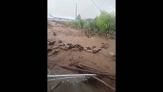 Flood into Makran Division Balochistan  مکران میں سیلابی ریلا عوام کو بھاری نقصان مال مویشی بہہ گئے