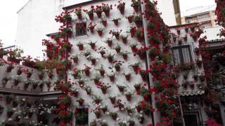 Courtyard interior, Cordoba, Spain