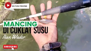 Mancing Wader di Coklat Susu Spot Sungai Air Keruh Saat Musim Hujan