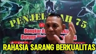 rahasia agar sarang walet berkualitas super nomor 1 👍