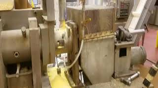 American Extrusion Extruder Baked Product