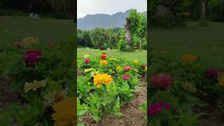 mughal garden view #love #music #followforfollowback #subscribe