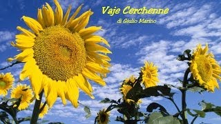 " Vaje Cerchenne "